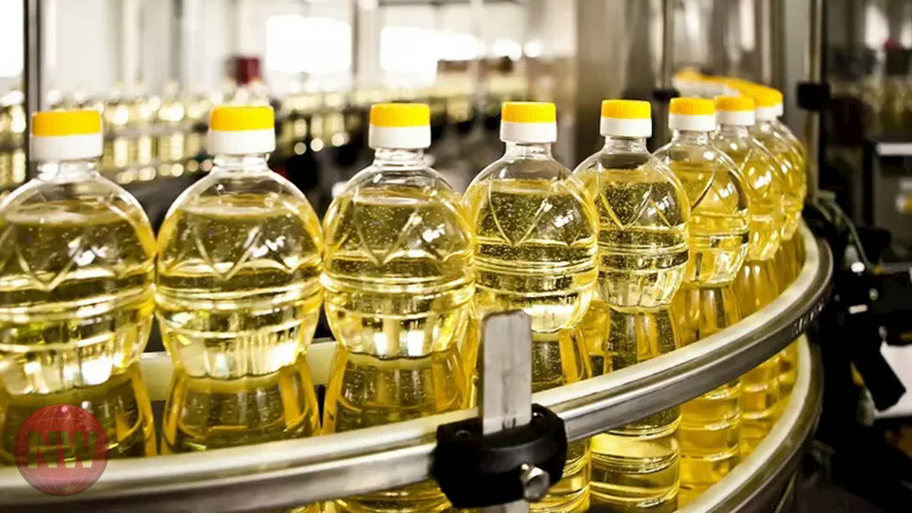 تغيرات أسعار السلع الأساسية في مصر.. ارتفاع الزيت واللحوم وتراجع الأرز