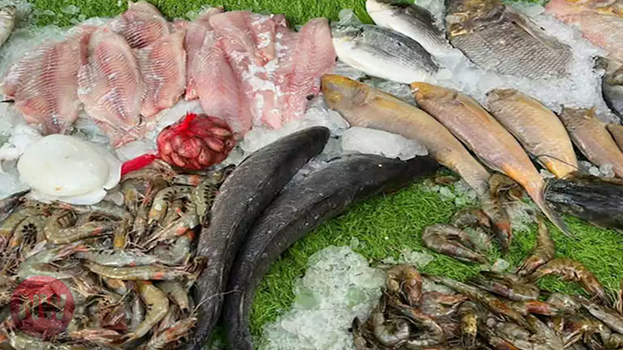 أسعار الأسماك اليوم الأحد 19-4-2026: البلطي والمكرونة ترتفع، والكابوريا تنخفض