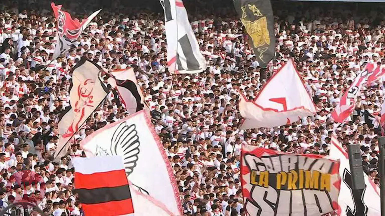 مسؤول بالزمالك: الجمهور هو النجم الأول في دعم الفرق