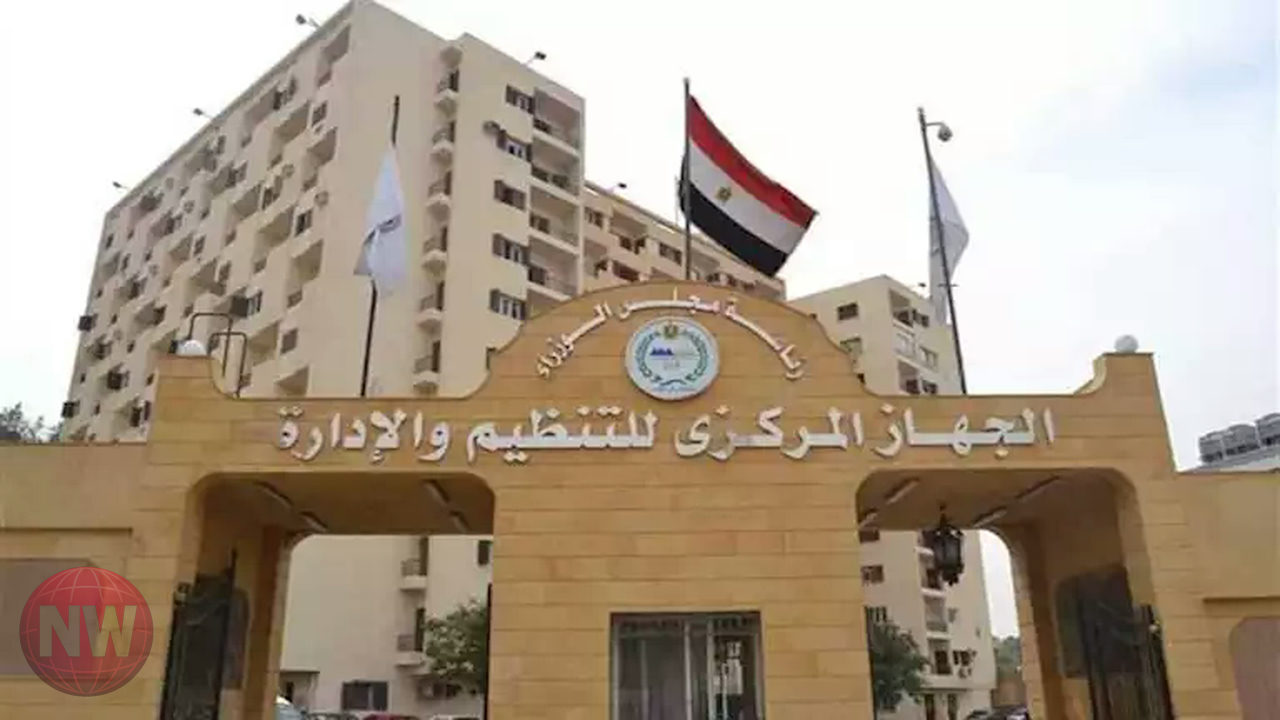 التجارة المصرية الفنلندية تتراجع إلى 556 مليون دولار في 2025