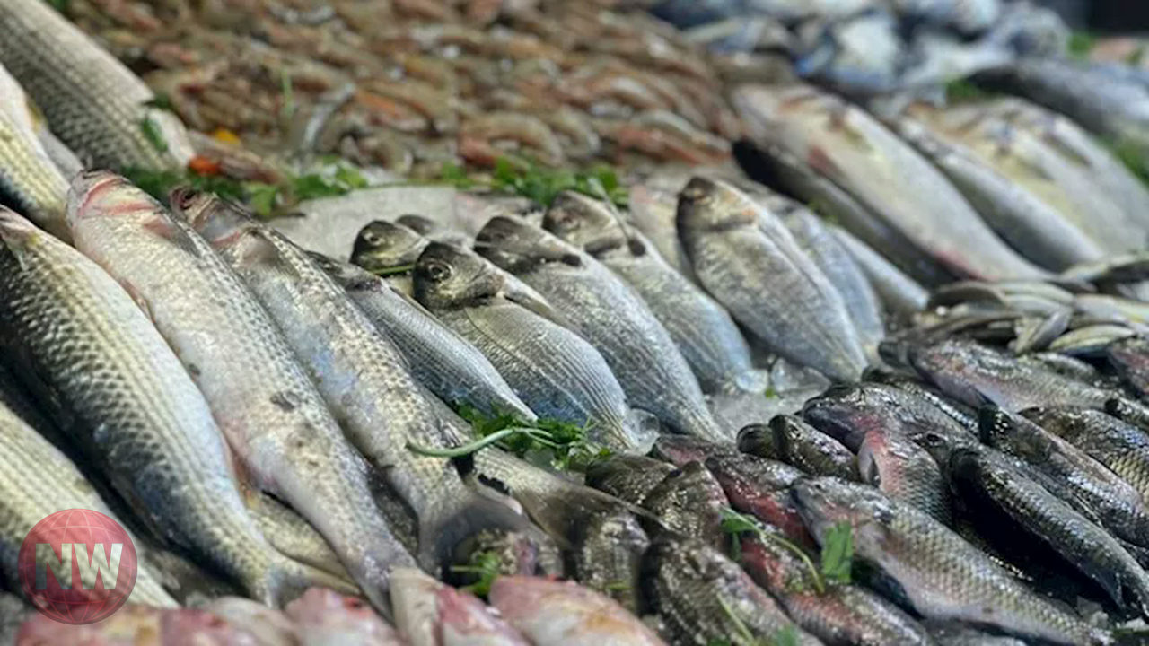 استقرار أسعار الأسماك والمأكولات البحرية اليوم في سوق العبور