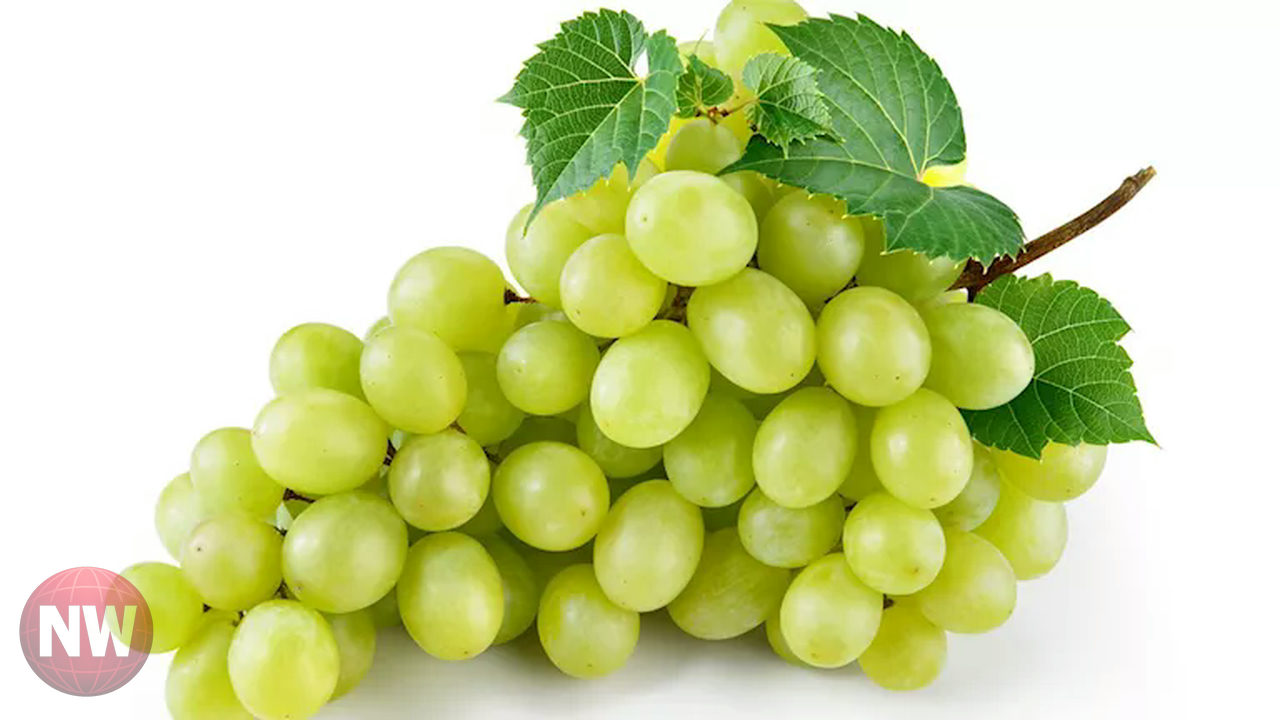 مصر: العنب المستورد يسيطر على الأسواق بـ 130 جنيهًا للكيلو