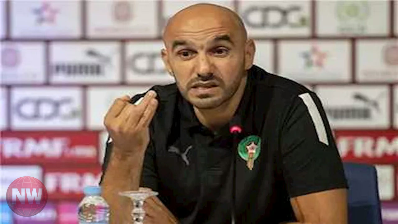 وليد الركراكي على طاولة ريال مدريد لخلافة كارلو أنشيلوتي