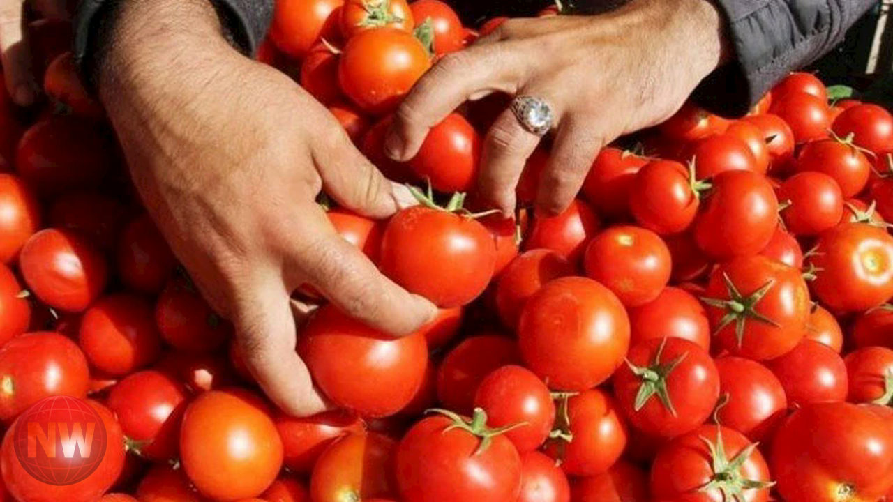 الخمسين جنيهًا: رحلة تدهور القوة الشرائية في مصر خلال عقد