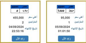 سعرها يتخطى المليون جنيه، «المرور» تطرح 4 لوحات معدنية مميزة للمزايدة