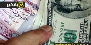 سعر الدولار أمام الجنيه المصري في تعاملات اليوم الإثنين 2-9-2024