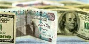 سعر الدولار مقابل الجنيه المصري اليوم الأربعاء 4 - 9 - 2024