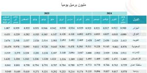 هل تؤجل السعودية و7 دول من تحالف أوبك+ زيادة إنتاج النفط إلى 2025؟