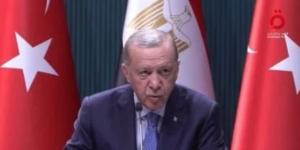 أردوغان: الزخم الإيجابى فى العلاقات بين مصر وتركيا سينعكس بمجال السياحة