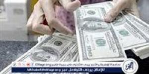 سعر الدولار مقابل الجنيه المصري اليوم الأربعاء 11 سبتمبر 2024