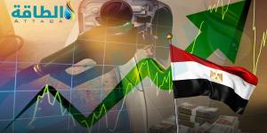 قيمة واردات مصر من النفط ومشتقاته ترتفع إلى 6.5 مليار دولار