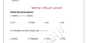 مراجعات
      نهائية..
      اسئلة
      تقييم
      الأسبوعين
      الثالث
      والرابع
      لغة
      انجليزية
      الصف
      الرابع
      الابتدائي