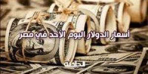 سعر
      الدولار
      اليوم
      الأحد
      في
      مصر
      20
      أكتوبر
      بالبنوك
      المصرية