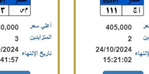 «المرور» تطرح لوحات معدنية تحمل أرقام مميزة للتزايد (تفاصيل)