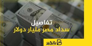 تفاصيل
      سداد
      مصر
      مليار
      دولار