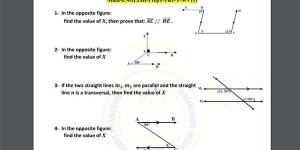 مراجعات
      نهائية..
      أسئلة
      تقييم
      الأسبوع
      التاسع
      الرياضيات
      math
      لـ
      الصف
      الأول
      الإعدادي