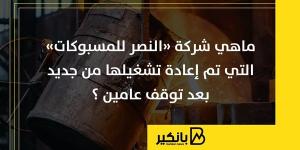 ماهي
      شركة
      «النصر
      للمسبوكات»
      التي
     ...