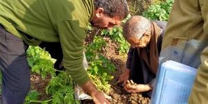 مهندسو
      "المركزية
      للبساتين"
      يتابعون
      ...