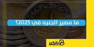 ما
      مصير
      الجنيه
      في
      2025؟