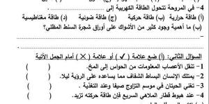 مراجعات
      نهائية..
      6
      نماذج
      امتحان
      بالنظام
      الجديد
      في
      العلوم
      لـ
      الصف
      الرابع
      الابتدائي