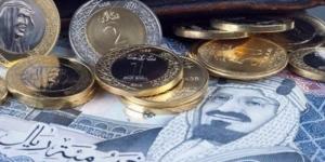 سعر الريال السعودي أمام الجنيه المصري اليوم الخميس 2 يناير 2025