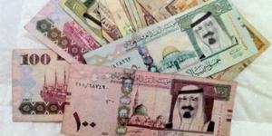 سعر الريال السعودي في البنك المركزي المصري اليوم، ارتفاع ملحوظ