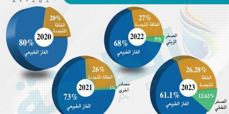 5 ملفات دعّمت تجديد الثقة في صالح الخرابشة وزيرًا للطاقة الأردني