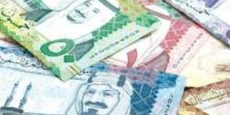 مفاجأة للعمالة.. سعر الريال السعودي مقابل الجنيه المصري اليوم الأحد 29-9-2024