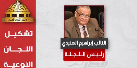 تغيرات بسيطة بالاقتصادية والشباب والرياضة ..التشكيل الكامل لهيئات مكاتب 25 لجنة نوعية بمجلس النواب لدور الانعقاد الخامس