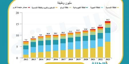 خريطة وظائف الطاقة المتجددة عالميًا.. 5 أسواق تستحوذ على 80% (تقرير)