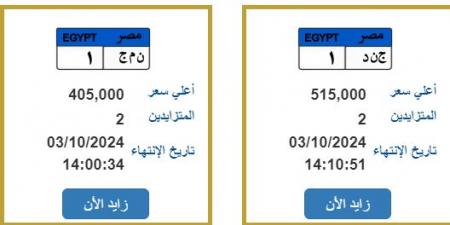 « ج ن د _ 1» و« ن م ج _ 1»، المرور تطرح لوحات معدنية مميزة للتزايد