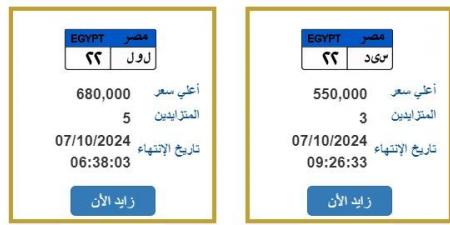 «س ى د _ 22» و« ل و ل _ 22»، المرور تطرح لوحات معدنية مميزة للتزايد