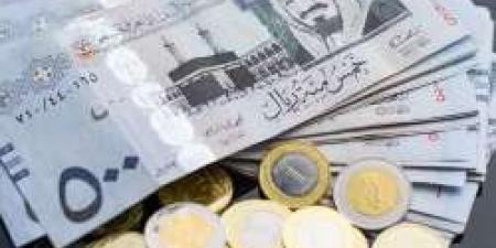 ارتفاع طفيف في سعر الريال السعودي أمام الجنيه المصري اليوم الأربعاء