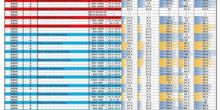 التعليم العالي تكشف عن 35 جامعة مصرية تُسجل إنجازًا مميزًا في تصنيف التايمز العالمي لعام 2025