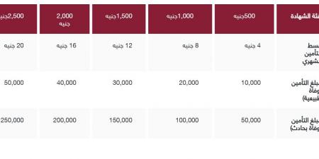 أنواع شهادات بنك مصر الإدخارية بالعملة المحلية وأسعار الفائدة