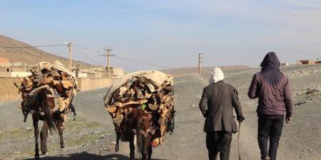 توقعات
      طقس
      اليوم
      الثلاثاء
      بالمغرب