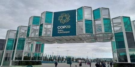 جامعة
      عين
      شمس
      تشارك
      في
      مؤتمر
      الأطراف
      COP29
      لتغير
      المناخ
      في
      باكو