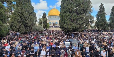 50
      ألف
      فلسطيني
      يؤدون
      صلاة
      الجمعة
      بالمسجد
      الأقصى