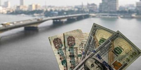 خبير اقتصادي يكشف سر ارتفاع تحويلات المصريين بالخارج إلى 23.7 مليار دولار