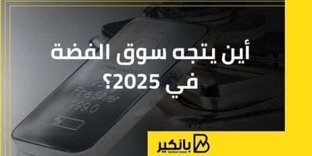 أين
      يتجه
      سوق
      الفضة
      في
      2025؟