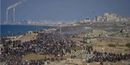 بيت العائلة المصرية يدعو المجتمع الدولى لدعم الحقوق التاريخية للشعب الفلسطينى ورفض التهجير