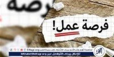 1000
      وظيفة
      شاغرة
      بوزارة
      العمل
      بالإمارات..
      التخصصات
      وخطوات
      التقديم