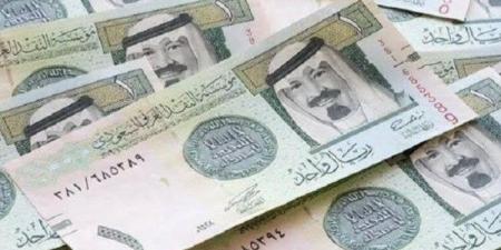 سعر الريال السعودي في البنوك المصرية، استقرار ملحوظ