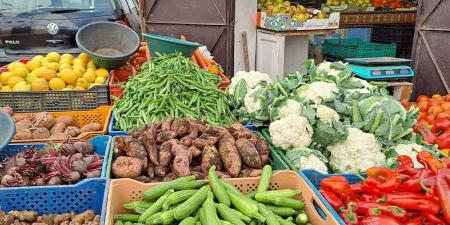 وفرة
      الخضر
      قبل
      رمضان