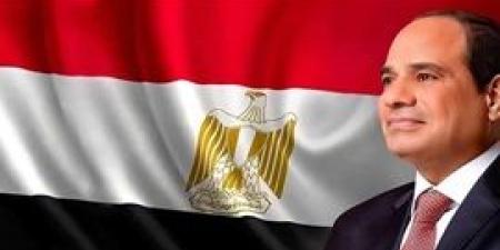 الرئيس
      السيسي
      يصل
      مصر
      بعد
      نهاية
      زيارته
      لإسبانيا