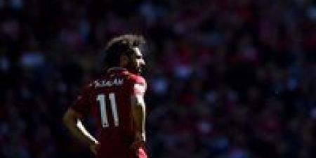 محمد
      صلاح:
      هالاند
      حياته
      أسهل
      مني