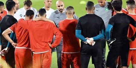 الركراكي: الأسود أصعب منتخب في العالم يمكن تدريبه