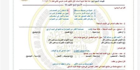 مراجعات
      نهائية..
      أسئلة
      تقييم
      الأسبوع
      الرابع
      لغة
      عربية
      الصف
      الأول
      الثانوي
      ترم
      ثاني