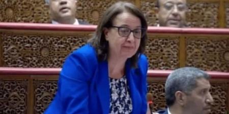 الحساني:في الحاجة لسياسة عمومية مستدامة لتفعيل التوجيهات الملكية حول الأسرة