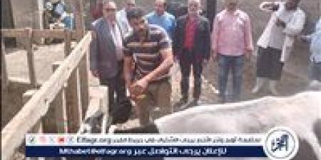 محافظ
      الدقهلية:
      تحصين
      191
      ألف
      رأس
      ماشية
      ضد
      الحمى
      القلاعية
      وحمى
      الوادي
      المتصدع